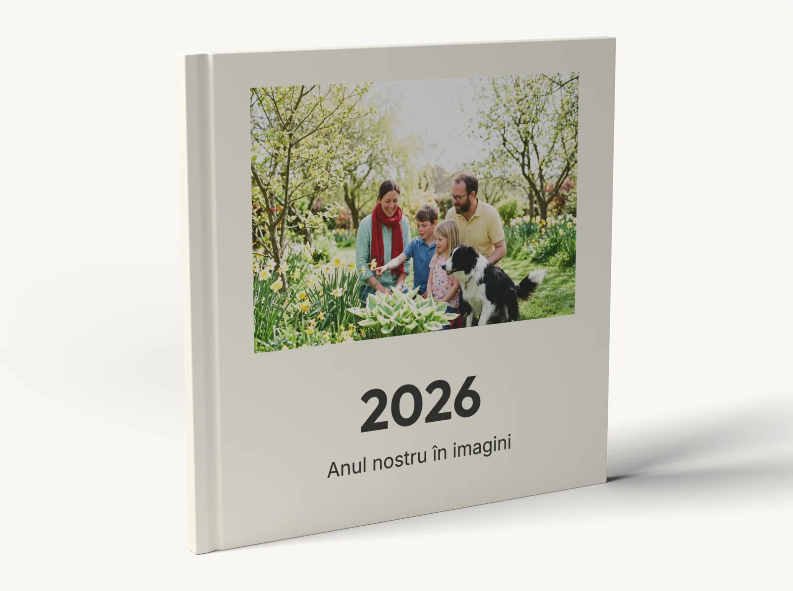 Albumul demo în picioare, cu cotorul la vedere, în tema Anul în imagini