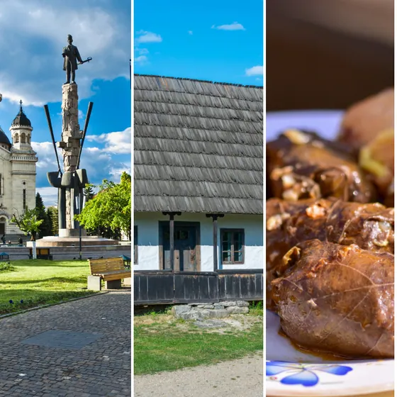 Pagină în tema Explorare cu 3 poze