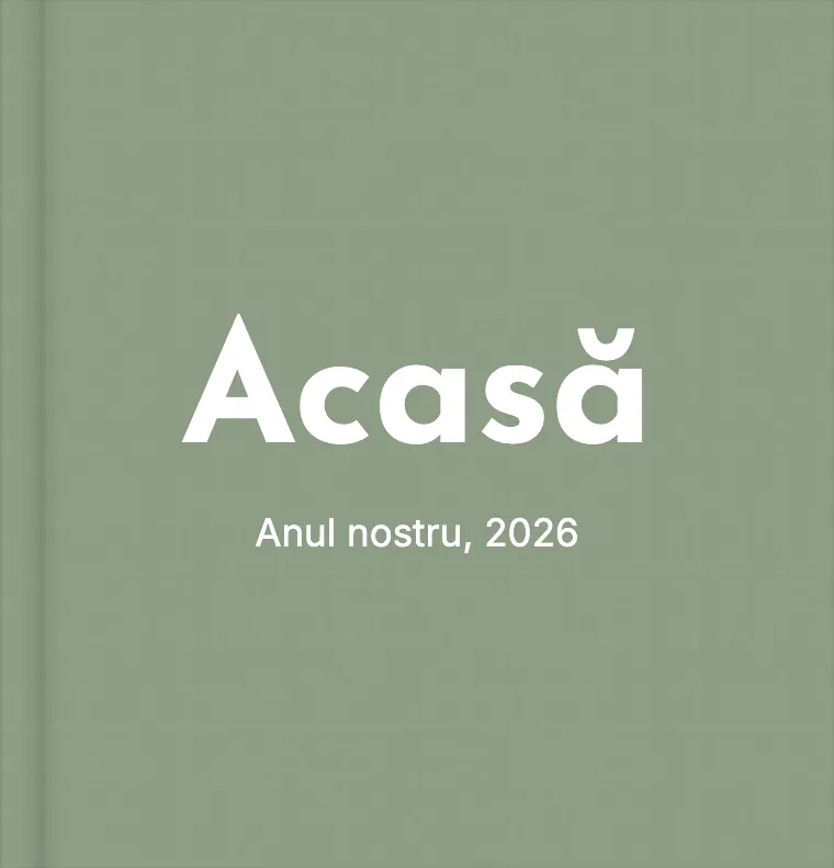 Coperta albumului demo „Acasă” în tema Pânză salvie