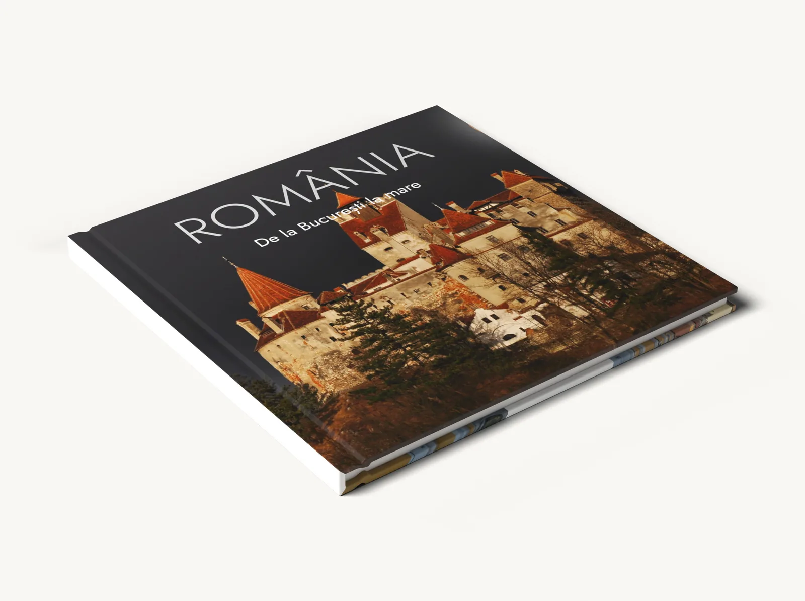 Albumul cu copertă tare în tema Poză întreagă, închis, văzut din unghi