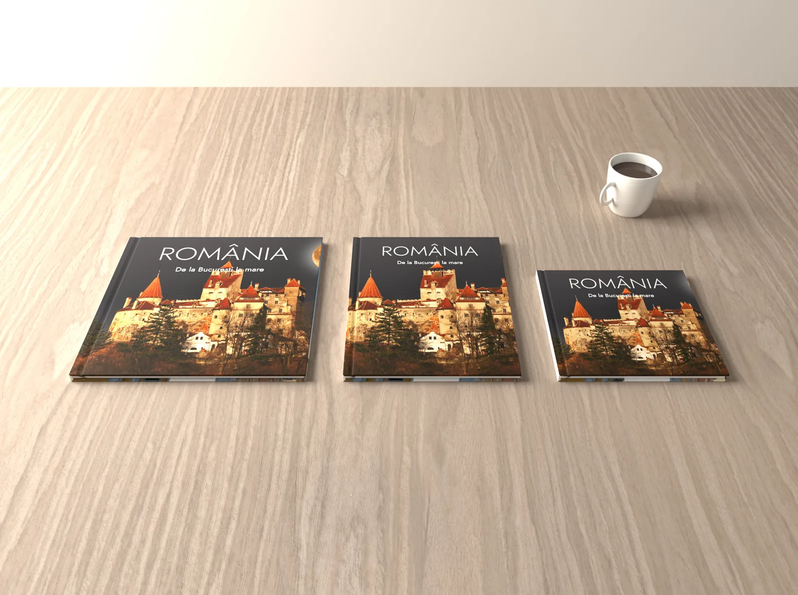 Albumul în tema Poză întreagă în formatele 28 × 28, 21 × 28 și 20 × 20 cm, unul lângă altul
