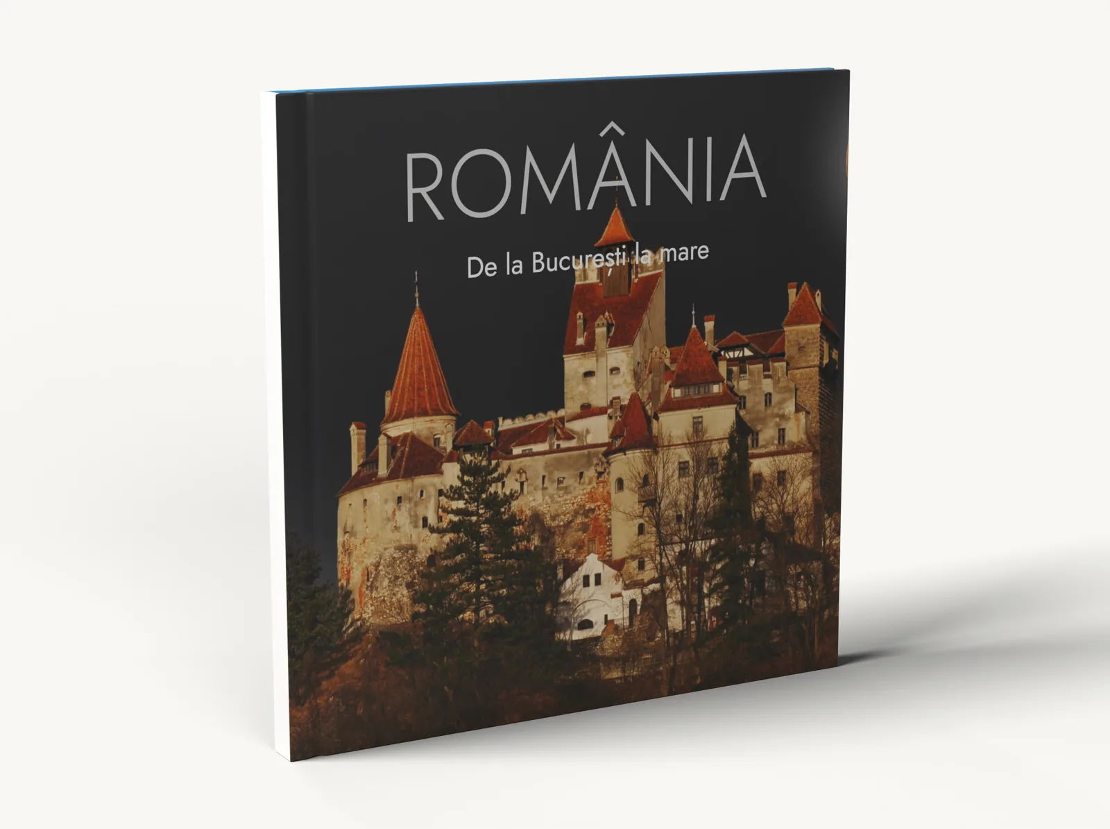 Albumul în tema Poză întreagă în picioare, cu cotorul la vedere